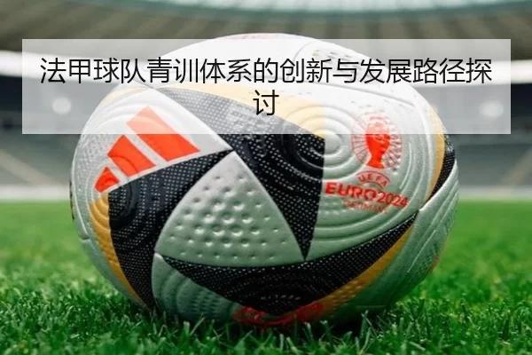 法甲球队青训体系的创新与发展路径探讨